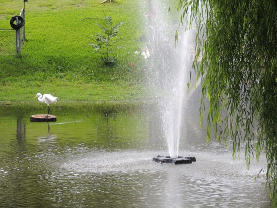 Willows at Wright Island Apartments